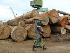 La defensa ambiental en el República Democrática del Congo: un llamado a proteger a quienes protegen los bosques La defensa ambiental en el República Democrática del Congo: un llamado a proteger a quienes protegen los bosques