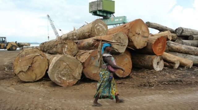 La defensa ambiental en el República Democrática del Congo un llamado a proteger a quienes protegen los bosques La defensa ambiental en el República Democrática del Congo: un llamado a proteger a quienes protegen los bosques